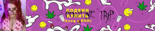 шишки Богородск